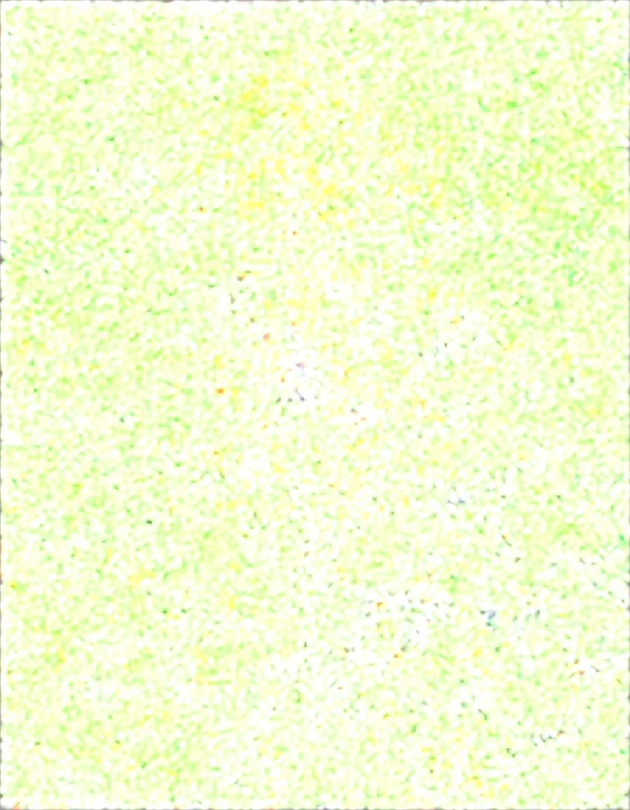 1girl-nanami-mami-kanojo-okarishimasu-halter-aee85c on Obsession (Illustrious-XL)