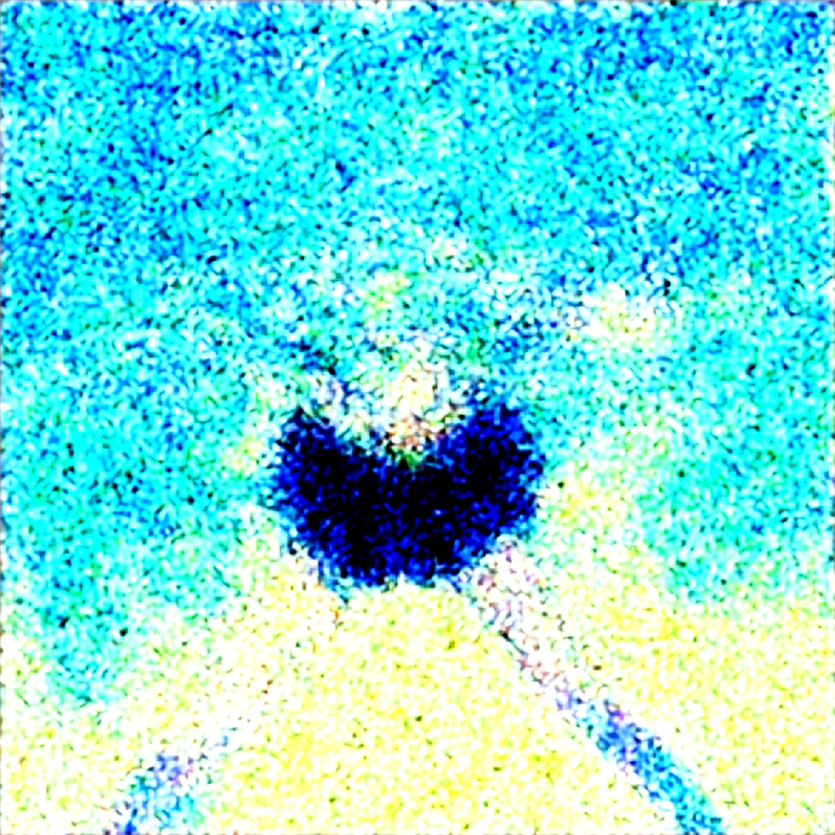 1girl-project-sekai-solo-very-long-d2e9e1 on WAI-SHUFFLE-NOOB