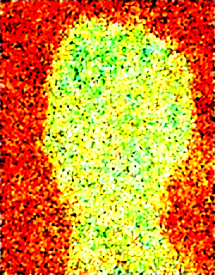 1girl-solo-cabbage-head-hands-own-b3619b on Obsession (Illustrious-XL)