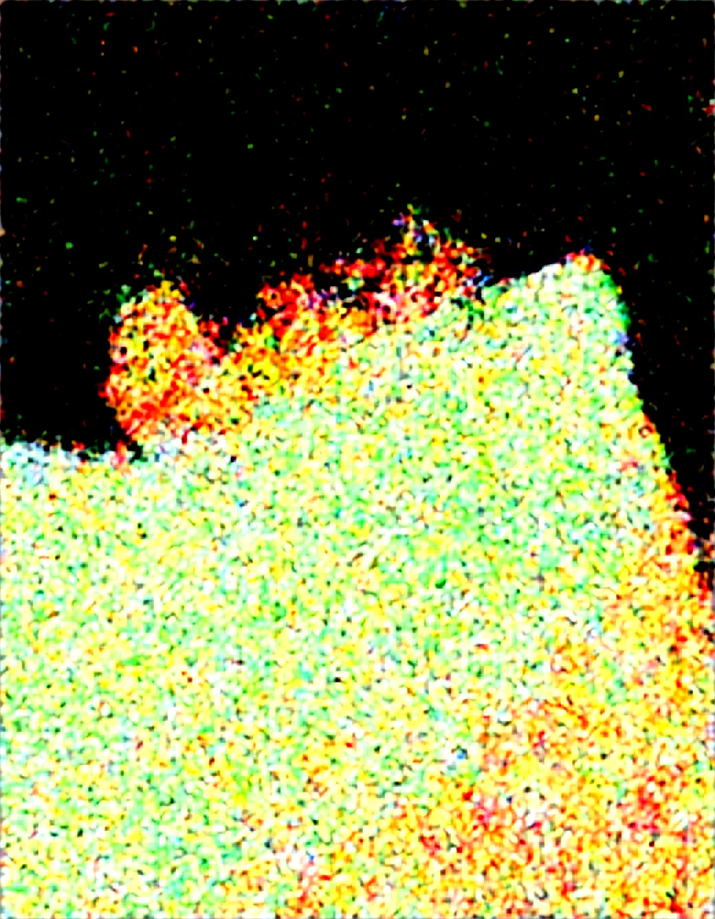 1girl-solo-closeup-tomboy-thicc-amber-2023cf on Obsession (Illustrious-XL)