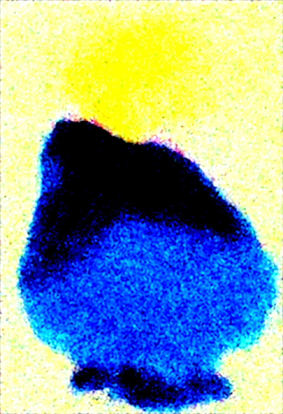 1girl-solo-masterpiece-best-quality-amazing-434fb6 on WAI-SHUFFLE-NOOB