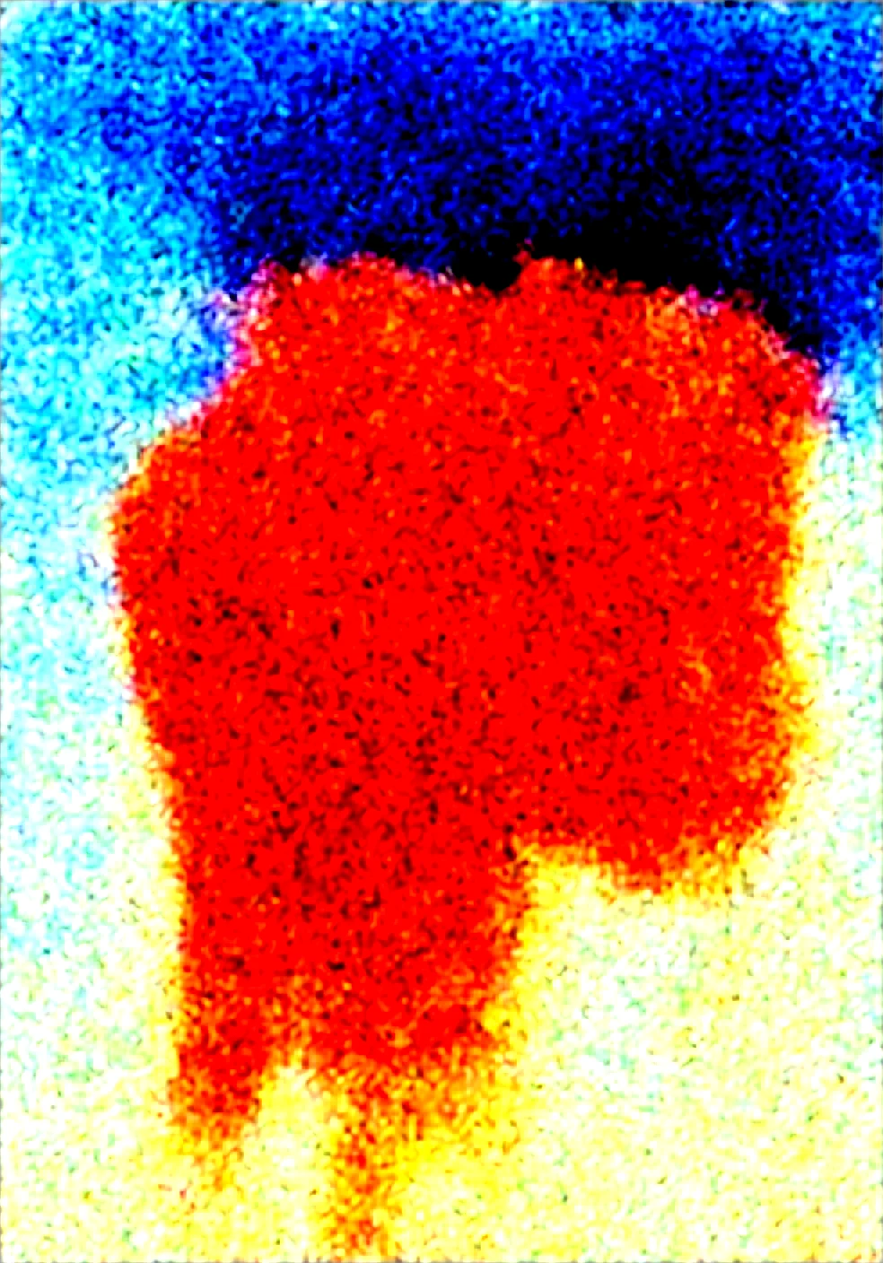 1girl-solo-medium-breast-tight-bikini-17f44a on Obsession (Illustrious-XL)