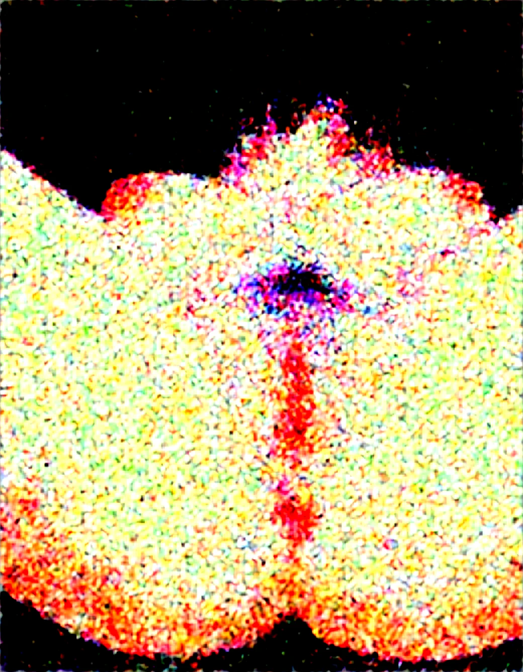 1girl-solo-tomboy-large-natural-breasts-29f8f2 on Obsession (Illustrious-XL)