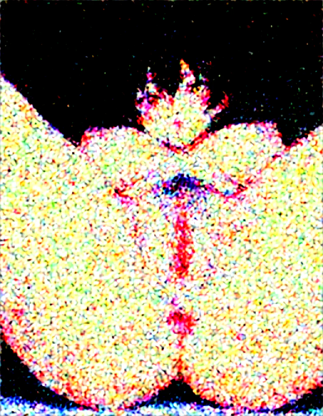 1girl-solo-tomboy-large-natural-breasts-29f8f2 on WAI-SHUFFLE-NOOB