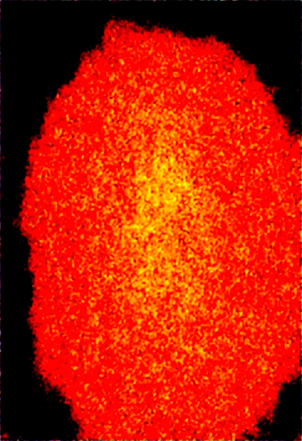 ancient-tomb-gate-sculpted-massive-hyper-f3e81e on Obsession (Illustrious-XL)