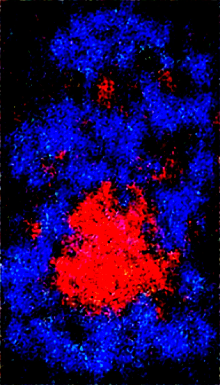 artist-style-masterpiece-properly-positioned-straight-27c286 on WAI-SHUFFLE-NOOB