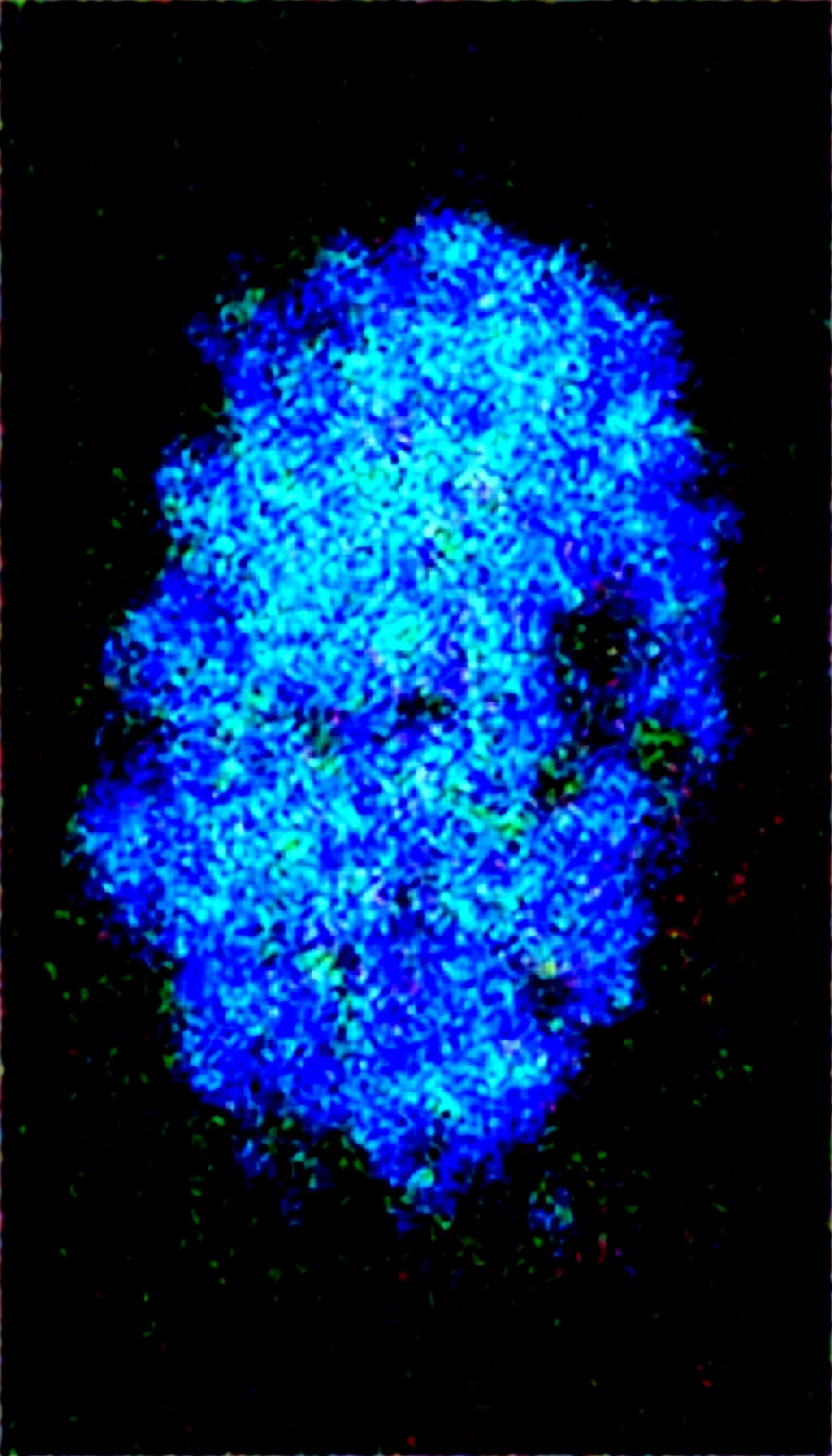 artist-style-masterpiece-properly-positioned-straight-8e43c0 on Obsession (Illustrious-XL)