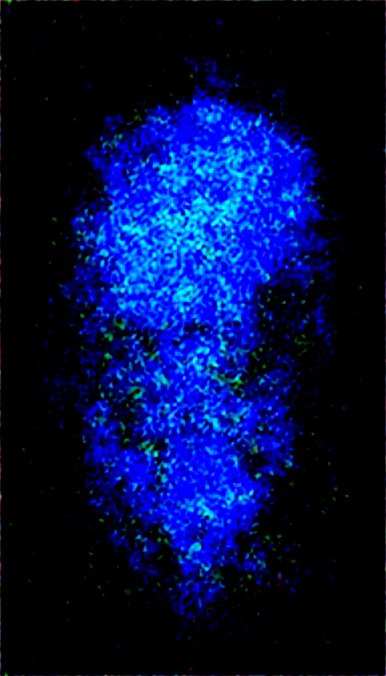 artist-style-masterpiece-properly-positioned-straight-8e43c0 on WAI-SHUFFLE-NOOB
