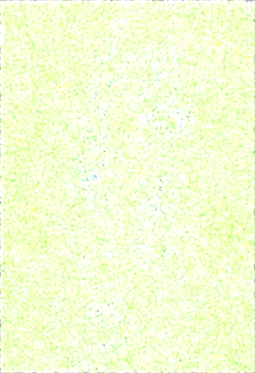 best-quality-safe-girl-goto-kippu-c7ebfb on Obsession (Illustrious-XL)