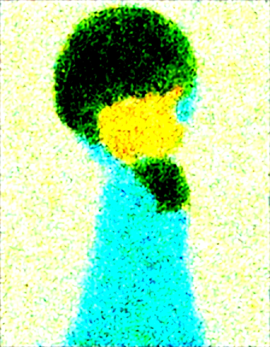 best-quality-safe-girl-solo-tiruminakkkb-f241a5 on Obsession (Illustrious-XL)