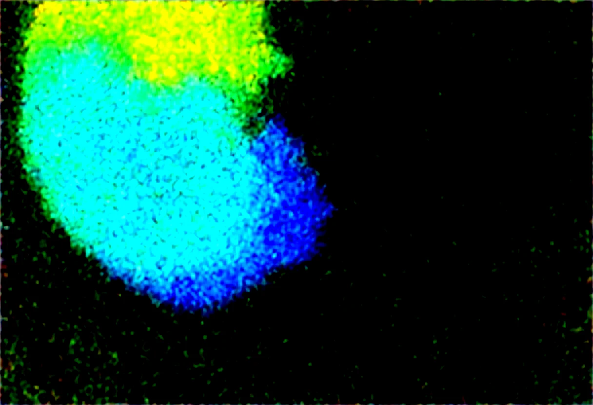 break-high-contrast-depth-field-fresh-7ffa08 on WAI-SHUFFLE-NOOB