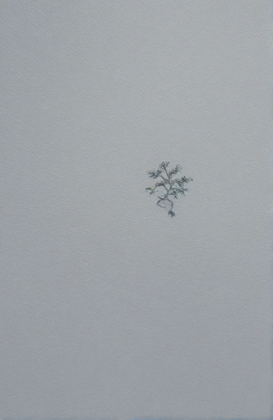 classical-oil-painting-visible-brushstrokes-museum-04601c on Cat Tower (NoobAI XL checkpoint)