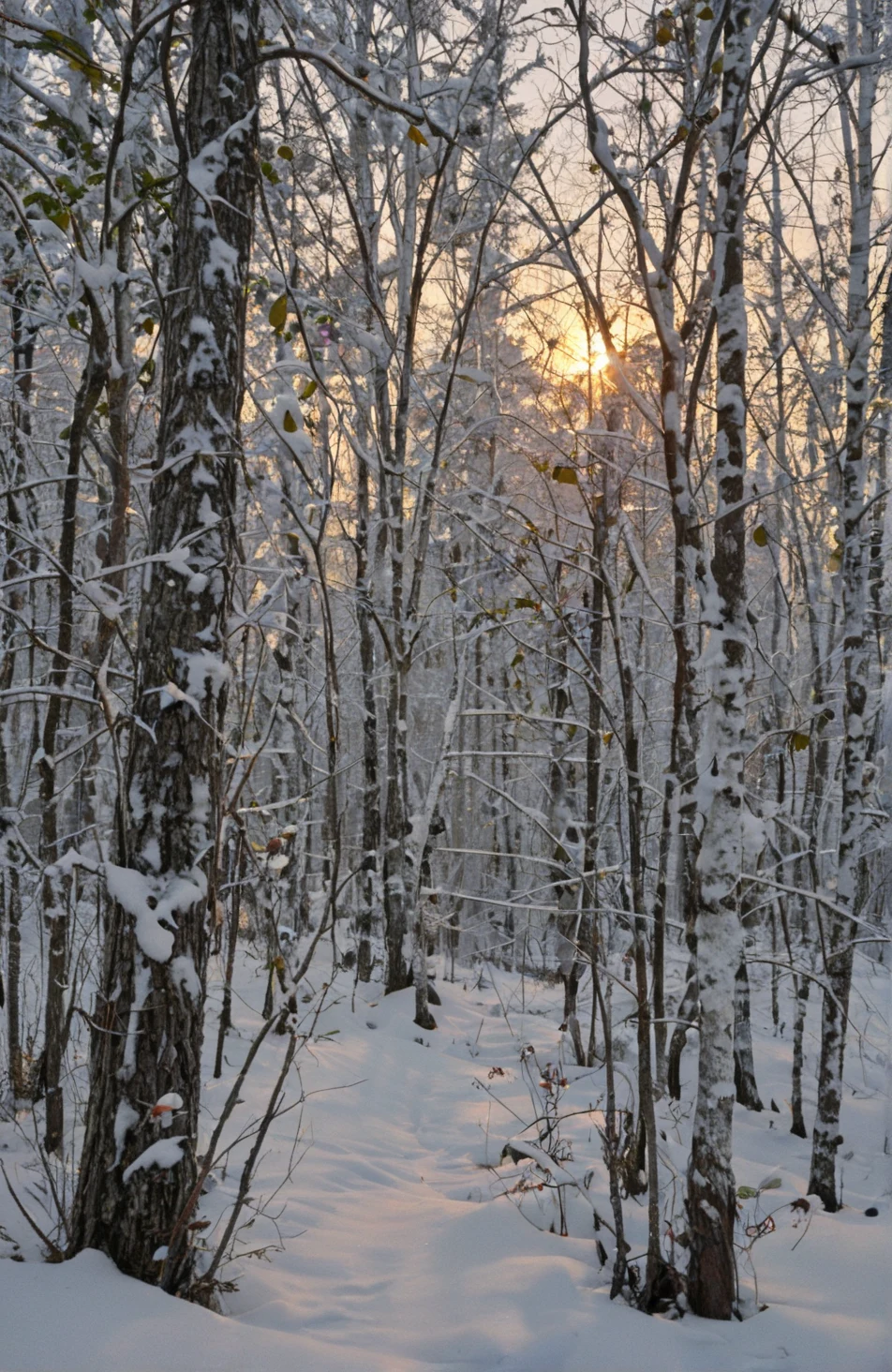 classical-oil-painting-visible-brushstrokes-museum-04601c on Realism Illustrious By Stable Yogi