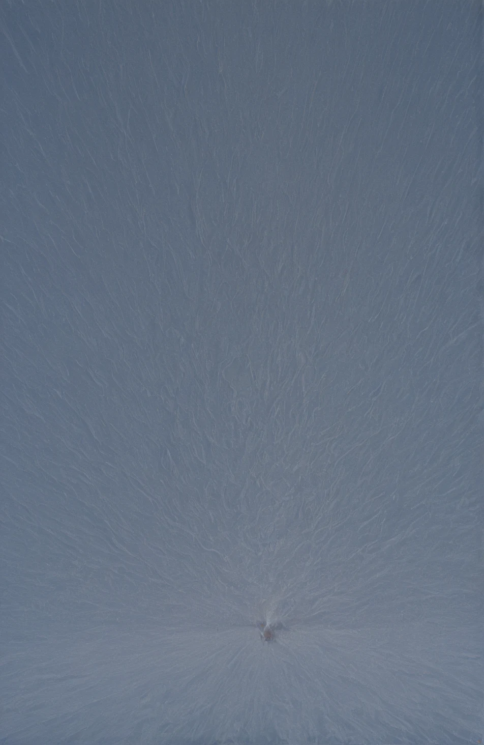 classical-oil-painting-visible-brushstrokes-museum-1c36dd on HomoSimile XL [Pony, Illustrious, NoobAI]