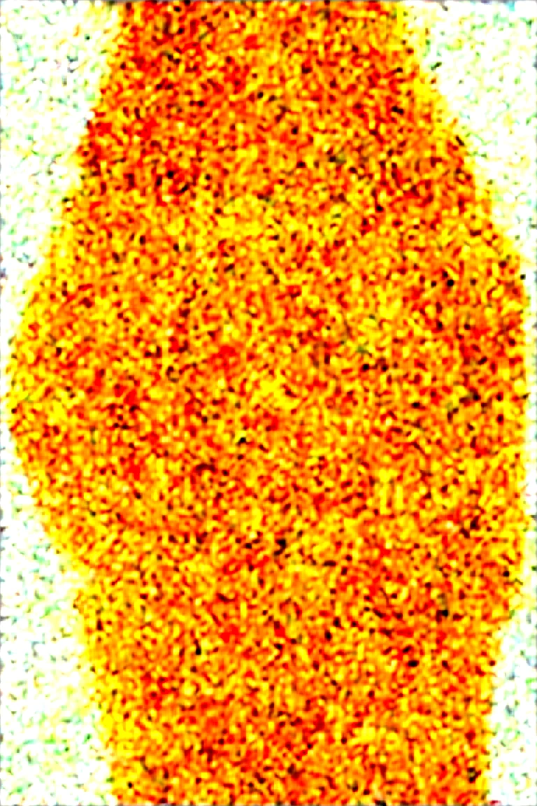 close-framing-brunette-hair-years-old-a8af63 on Obsession (Illustrious-XL)