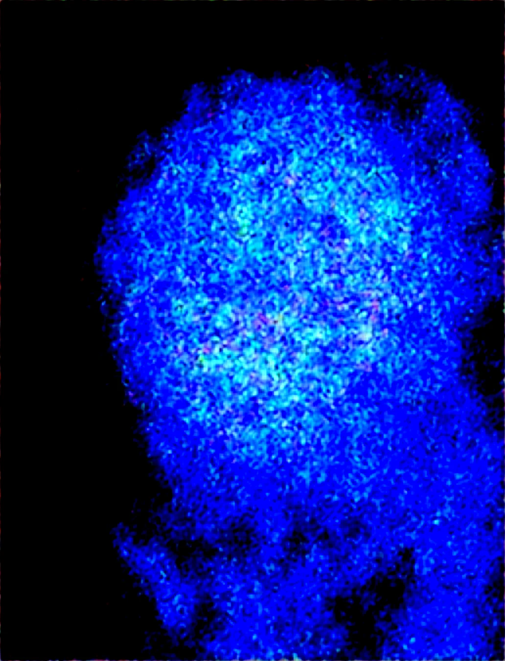 cutesy-1girl-hannah-furry-female-white-8f1502 on Obsession (Illustrious-XL)