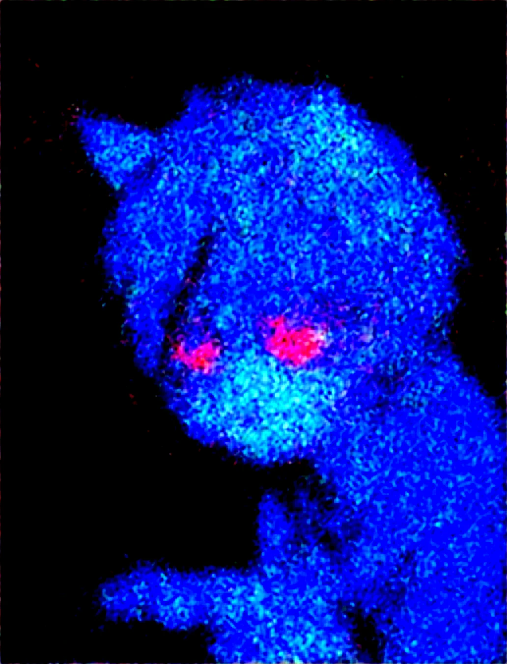 cutesy-1girl-hannah-furry-female-white-8f1502 on WAI-SHUFFLE-NOOB