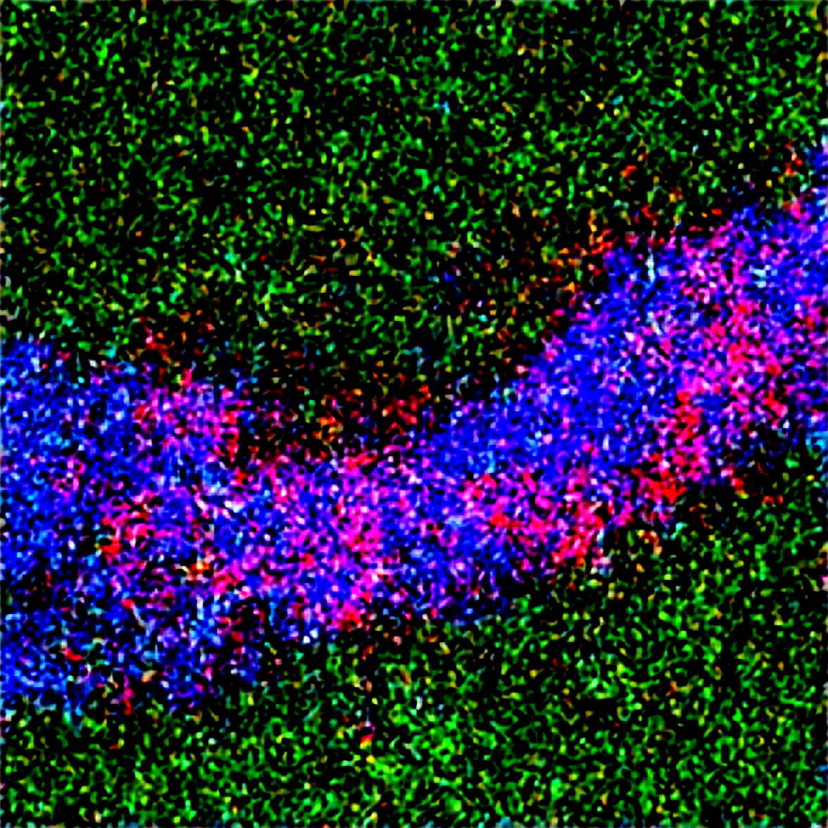 cutesy-aliasing-painterly-art-deco-black-ed71ec on Obsession (Illustrious-XL)