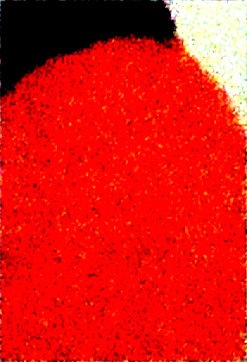 d_bara-masterpiece-best-quality-absurdres-newest-3dc5a3 on Obsession (Illustrious-XL)