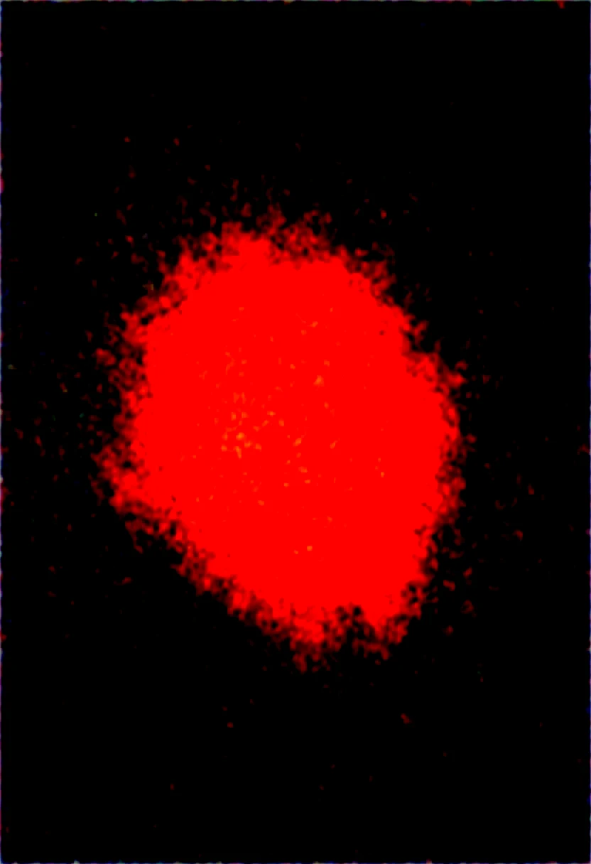 detailed-eyes-detailed-face-masterpiece-best-a88c1d on Obsession (Illustrious-XL)