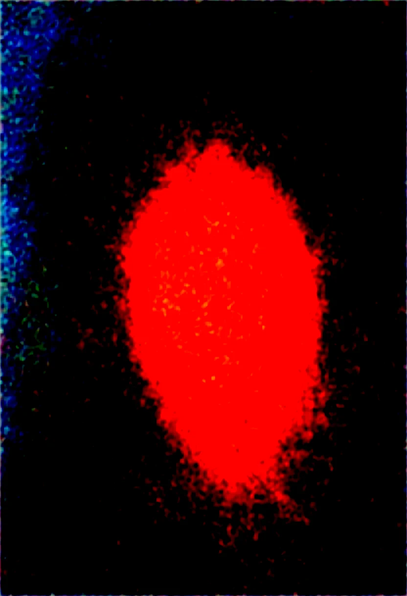 detailed-eyes-detailed-face-masterpiece-best-a88c1d on WAI-SHUFFLE-NOOB