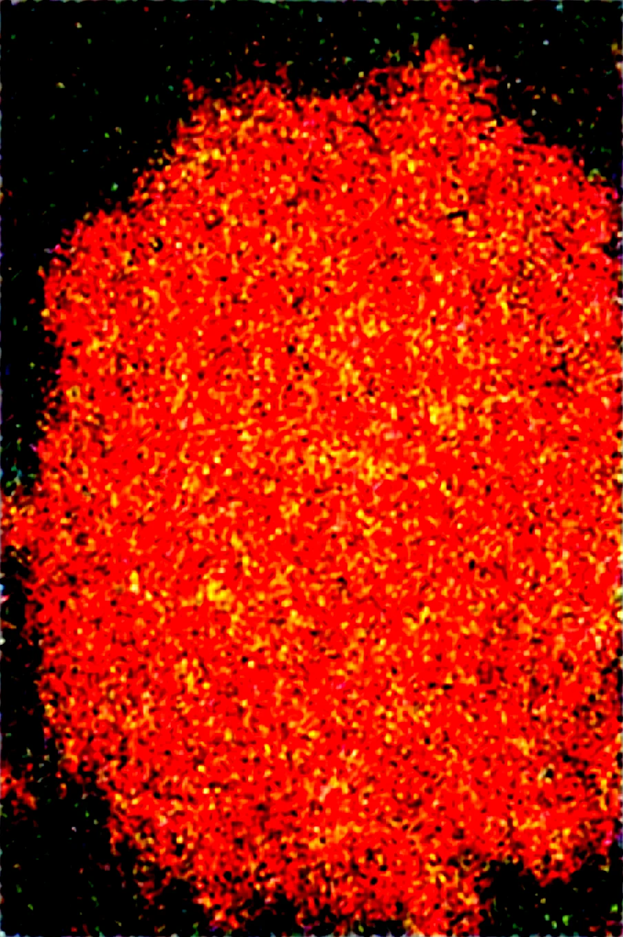 dynamic-composition-raw-photography-for-instagram-283302 on Obsession (Illustrious-XL)