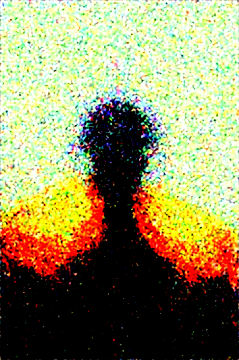 dynamic-composition-raw-photography-for-instagram-4bfec6 on WAI-SHUFFLE-NOOB