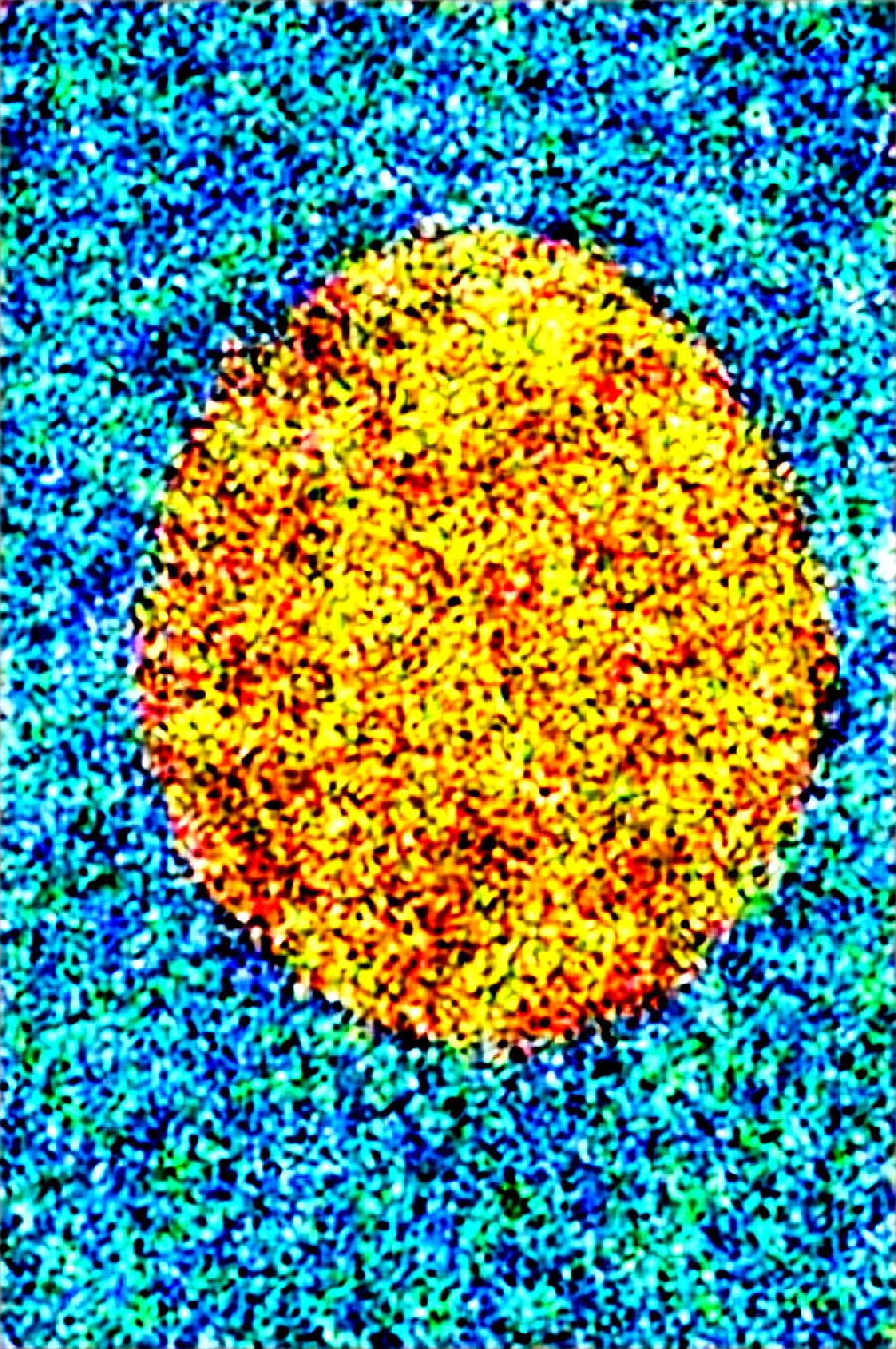 dynamic-composition-raw-photography-for-instagram-675b28 on Obsession (Illustrious-XL)