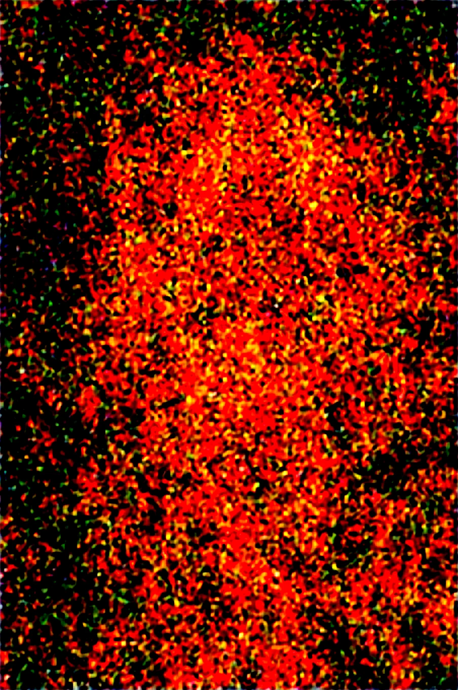 dynamic-composition-raw-photography-for-instagram-aa4105 on Obsession (Illustrious-XL)