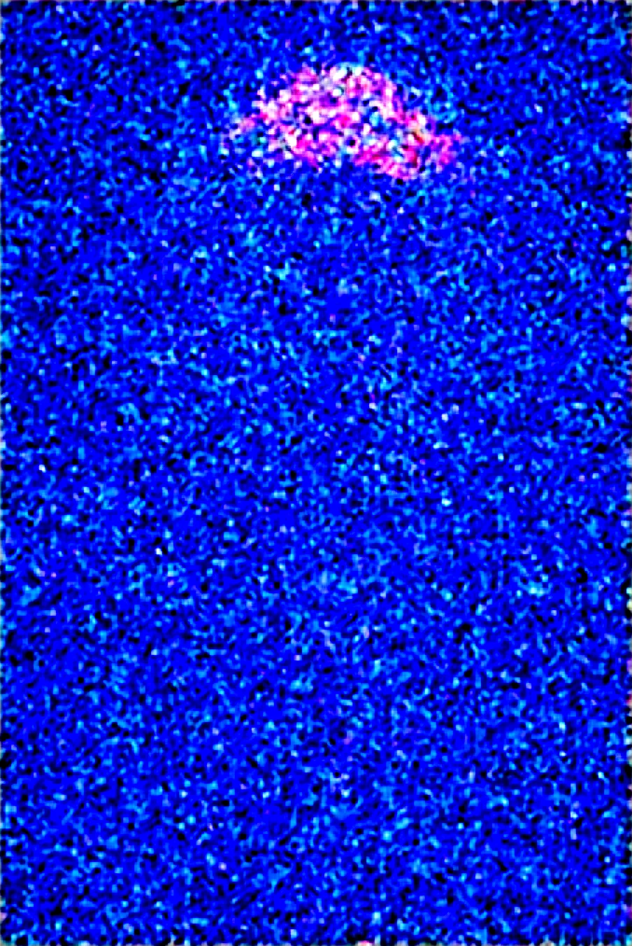 dynamic-composition-raw-photography-for-instagram-ae018f on WAI-SHUFFLE-NOOB