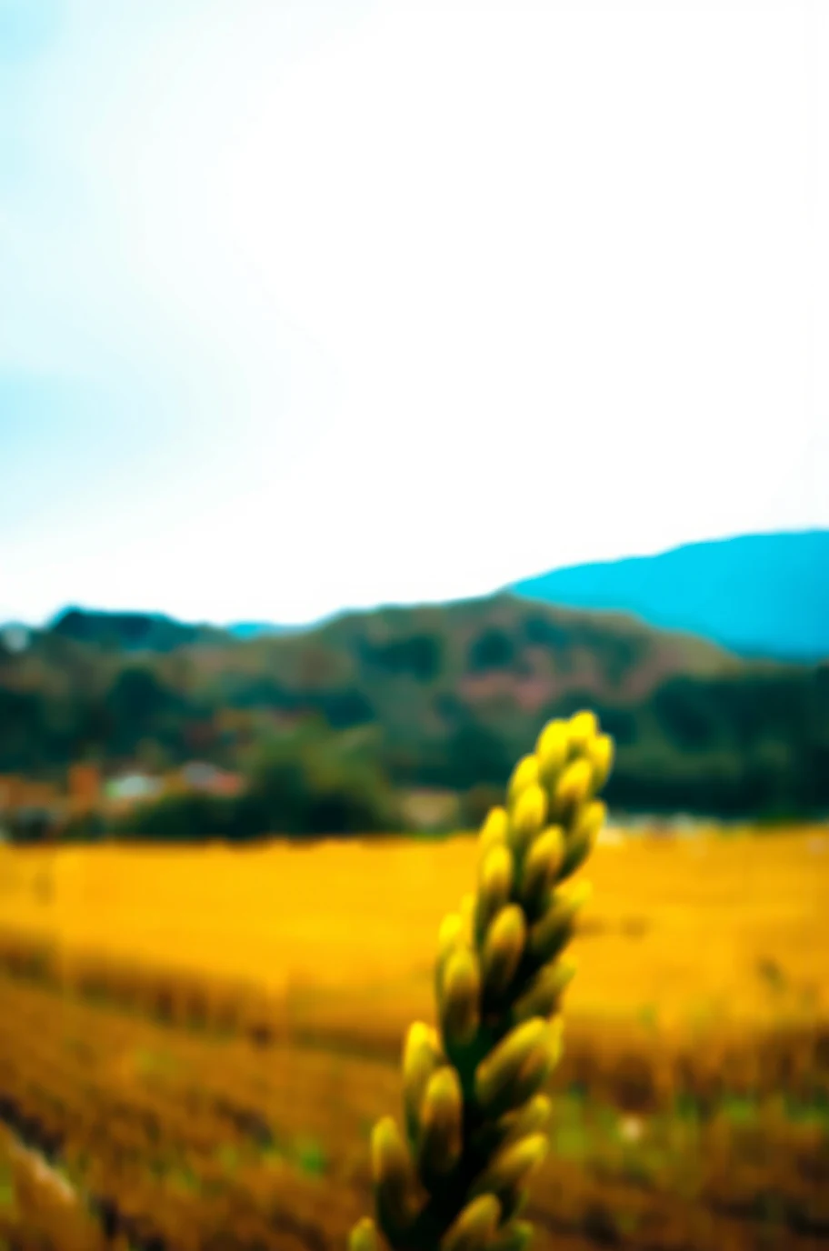 dynamic-composition-raw-photography-for-instagram-bbd547 on PixelWave