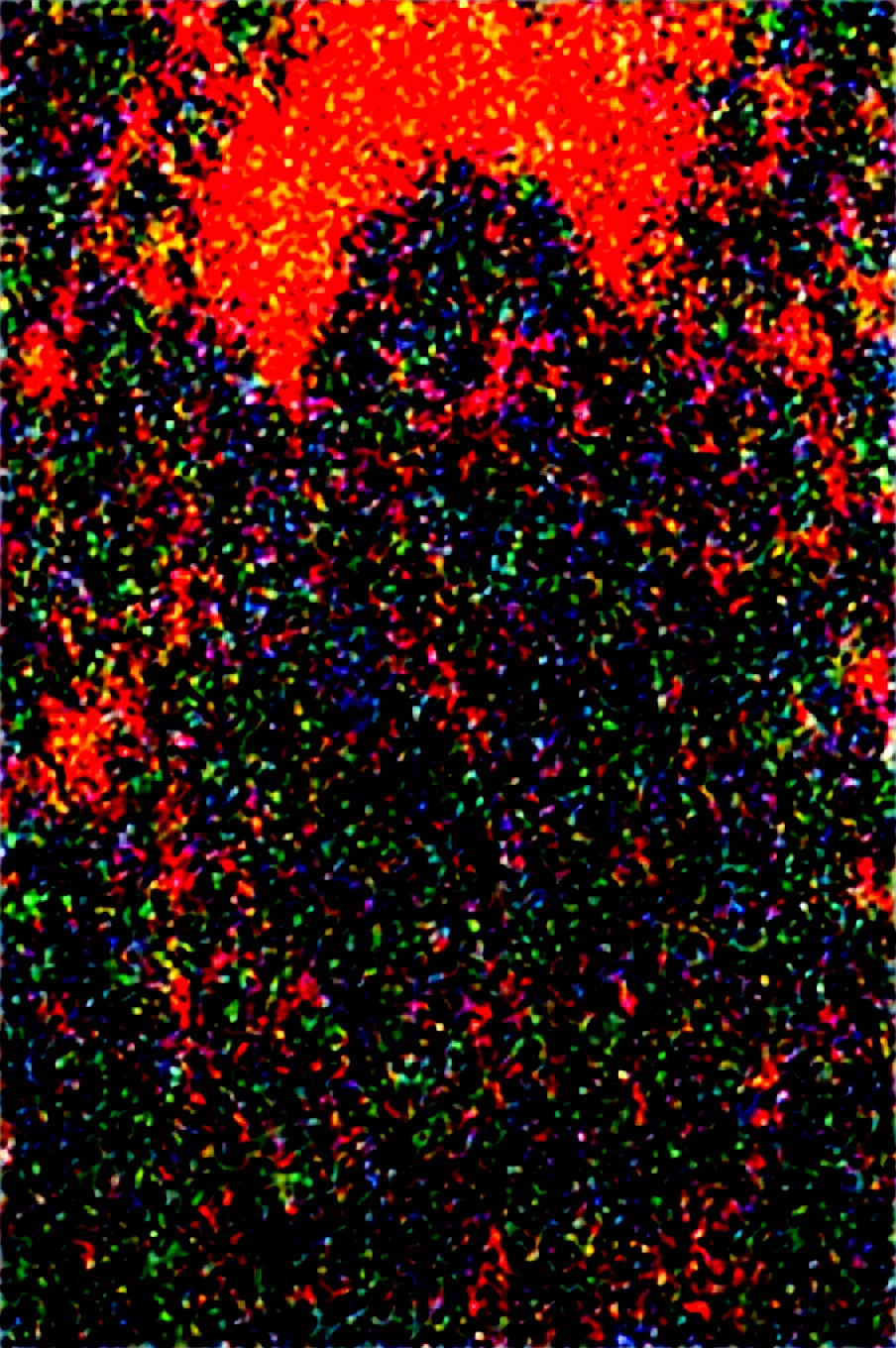 dynamic-composition-raw-photography-for-instagram-c64dba on WAI-SHUFFLE-NOOB