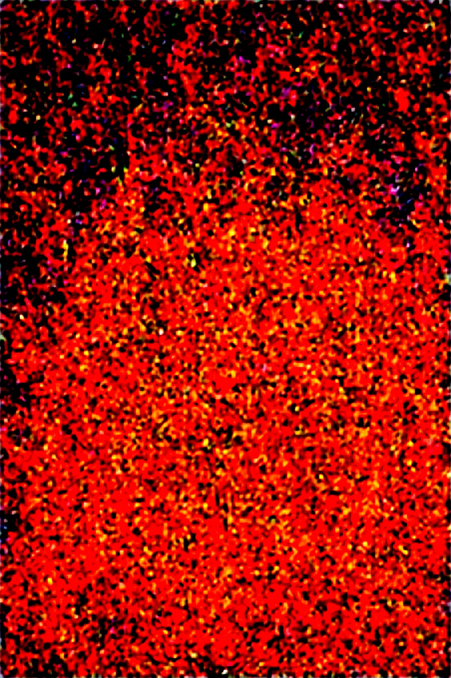 dynamic-composition-raw-photography-for-instagram-cffcf4 on Obsession (Illustrious-XL)