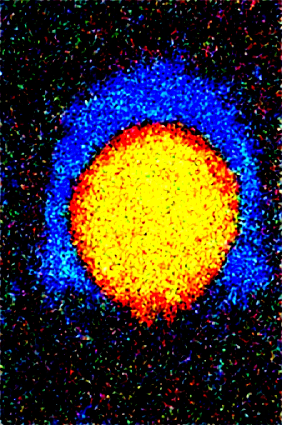 dynamic-composition-raw-photography-for-instagram-d3e52d on WAI-SHUFFLE-NOOB