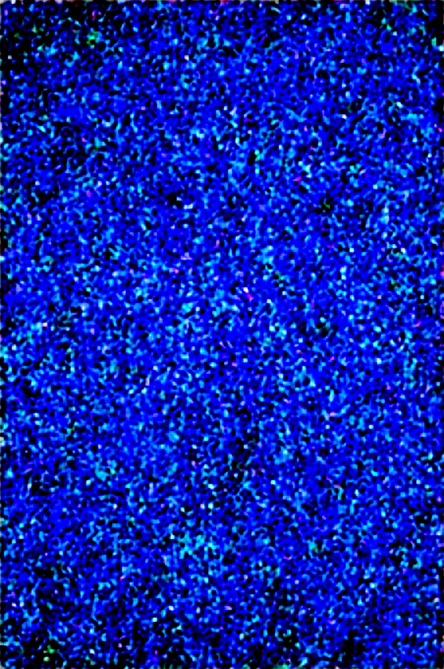 dynamic-composition-raw-photography-for-instagram-ff859f on Obsession (Illustrious-XL)