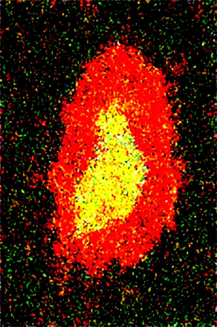 dynamic-composition-raw-photography-for-instagram-ffcbe8 on Obsession (Illustrious-XL)