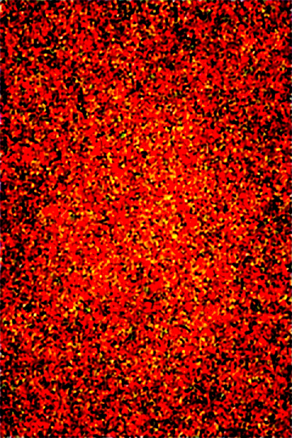 dynamic-composition-raw-photography-photograph-realistic-a59301 on Obsession (Illustrious-XL)