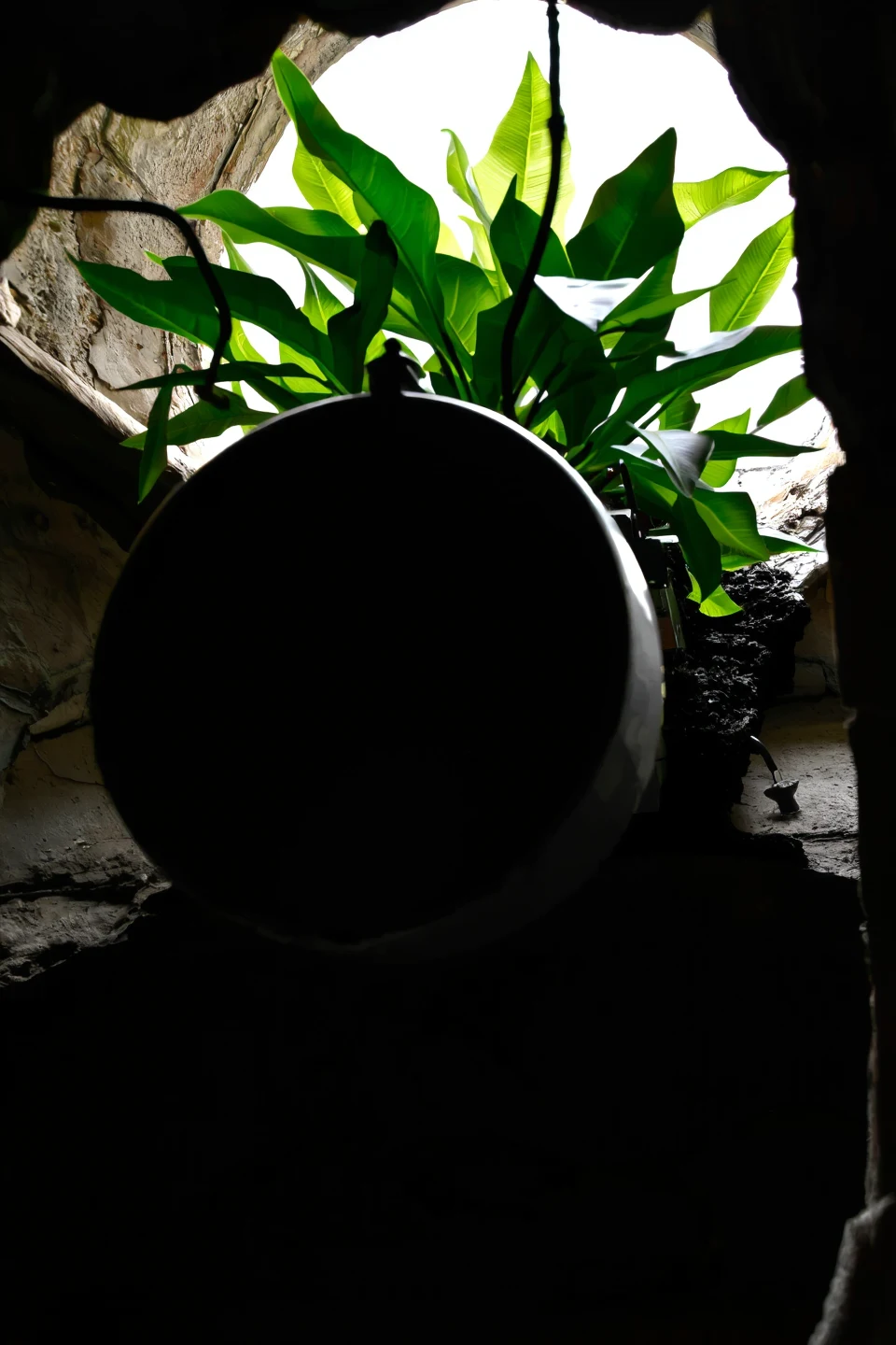 dynamic-composition-raw-photography-photograph-realistic-a59301 on PixelWave