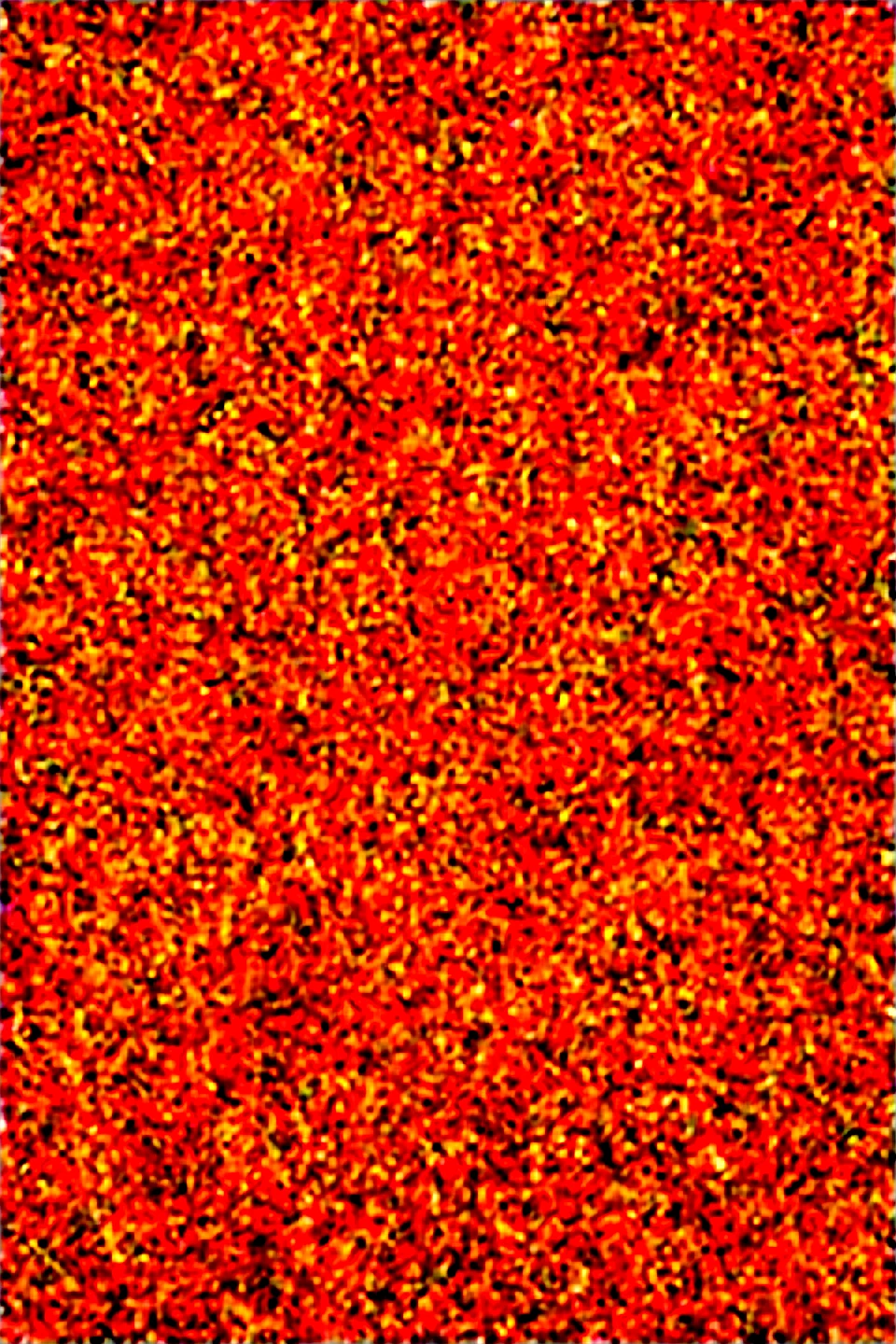 dynamic-composition-raw-photography-photograph-realistic-d5403a on Obsession (Illustrious-XL)