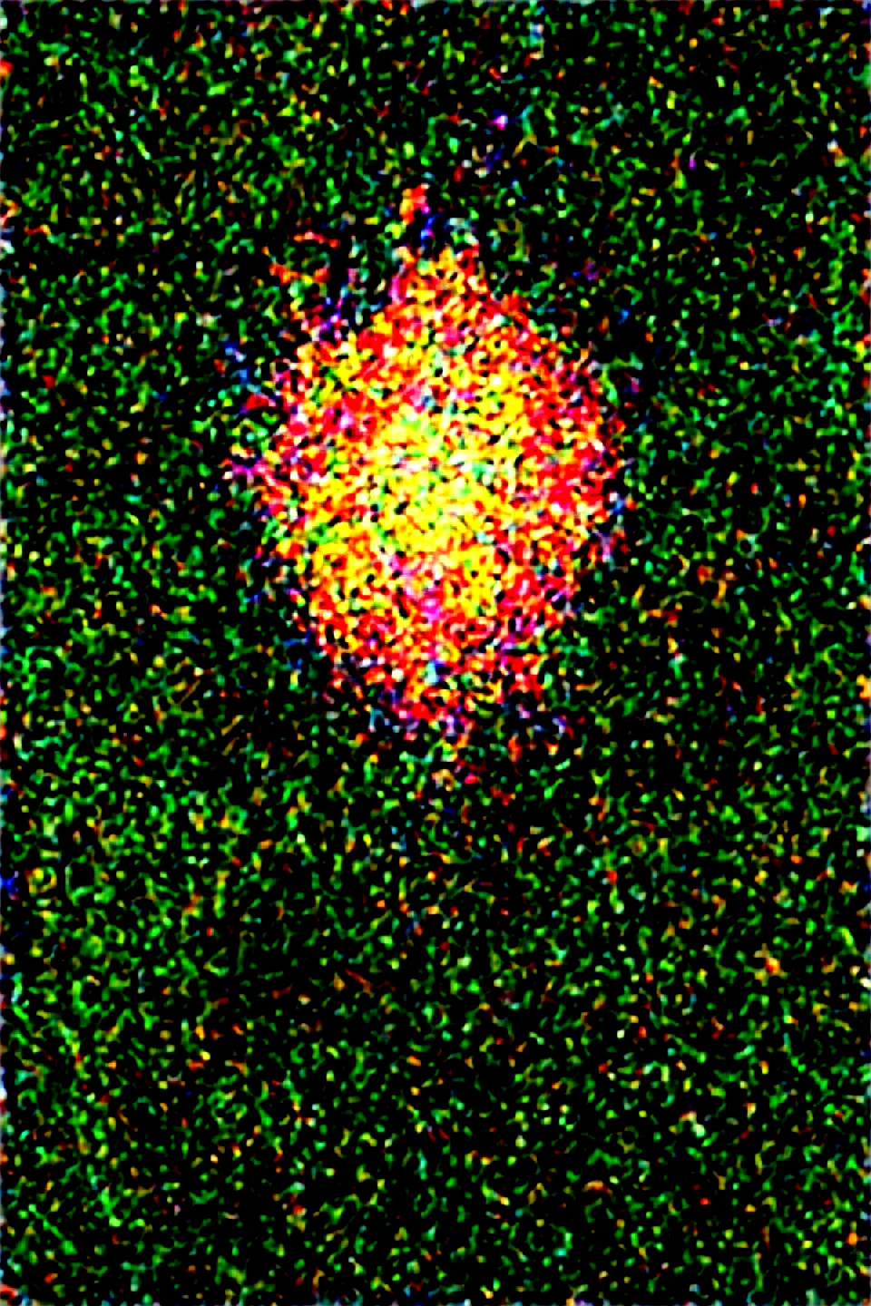 dynamic-composition-raw-photography-photograph-realistic-d5403a on WAI-SHUFFLE-NOOB