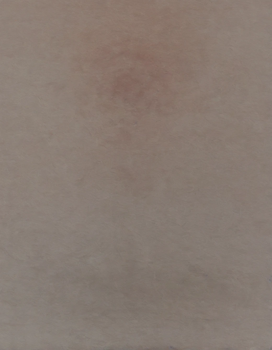 east-asian-architecture-classical-oil-painting-3220de on WAI-illustrious-SDXL