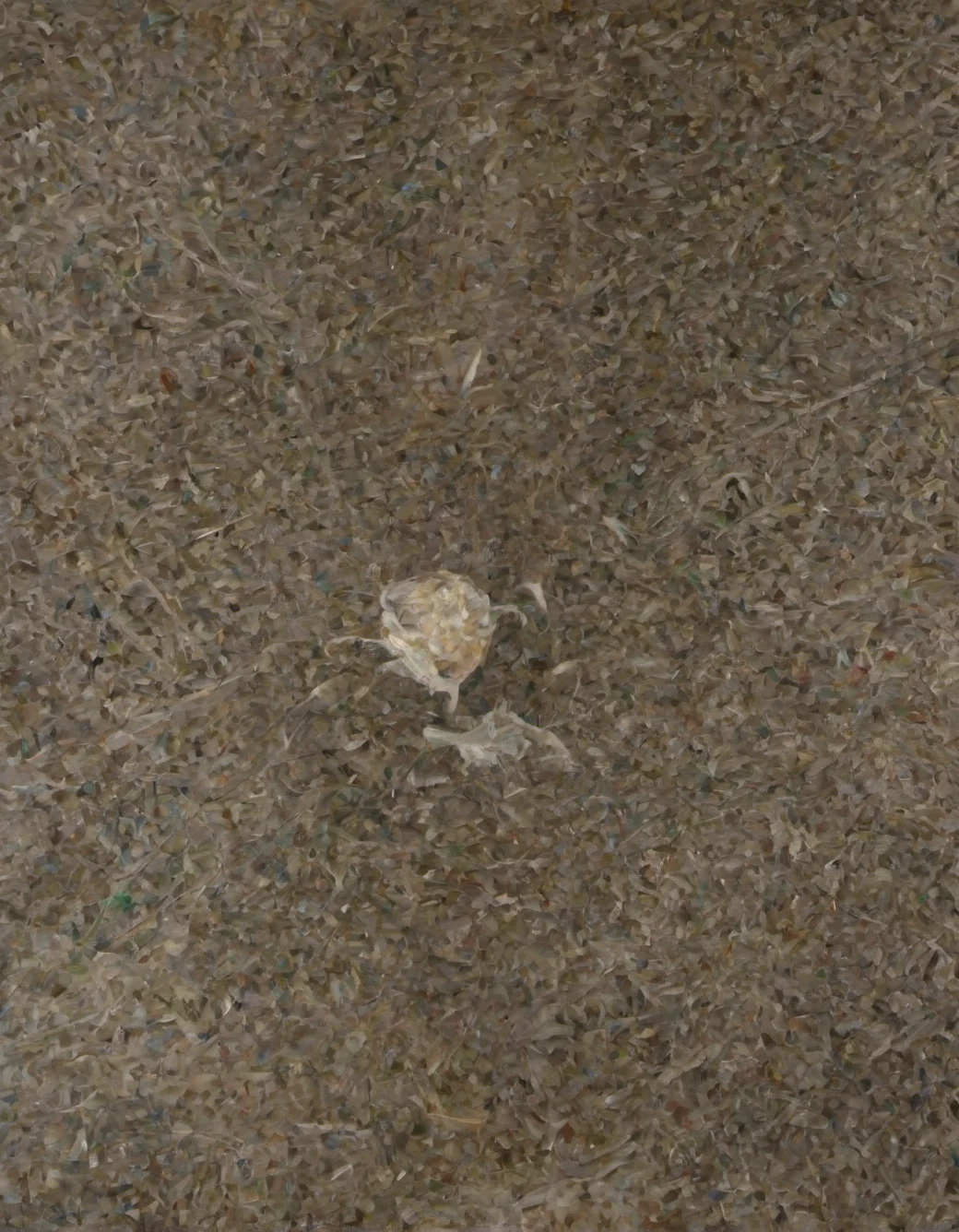 east-asian-architecture-masterpiece-best-quality-dc4491 on epiCRealism XL