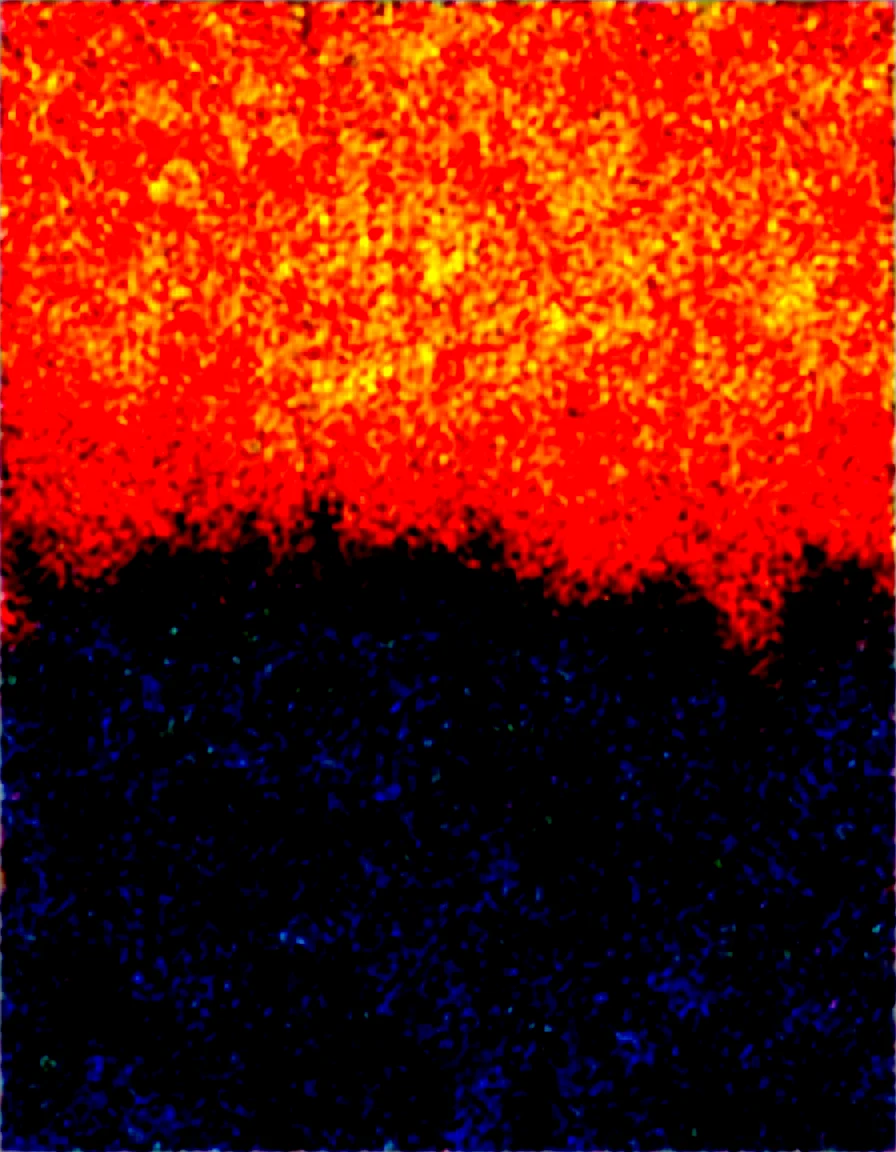 ethereal-fantasy-concept-art-forest-masterpiece-b9193c on Obsession (Illustrious-XL)