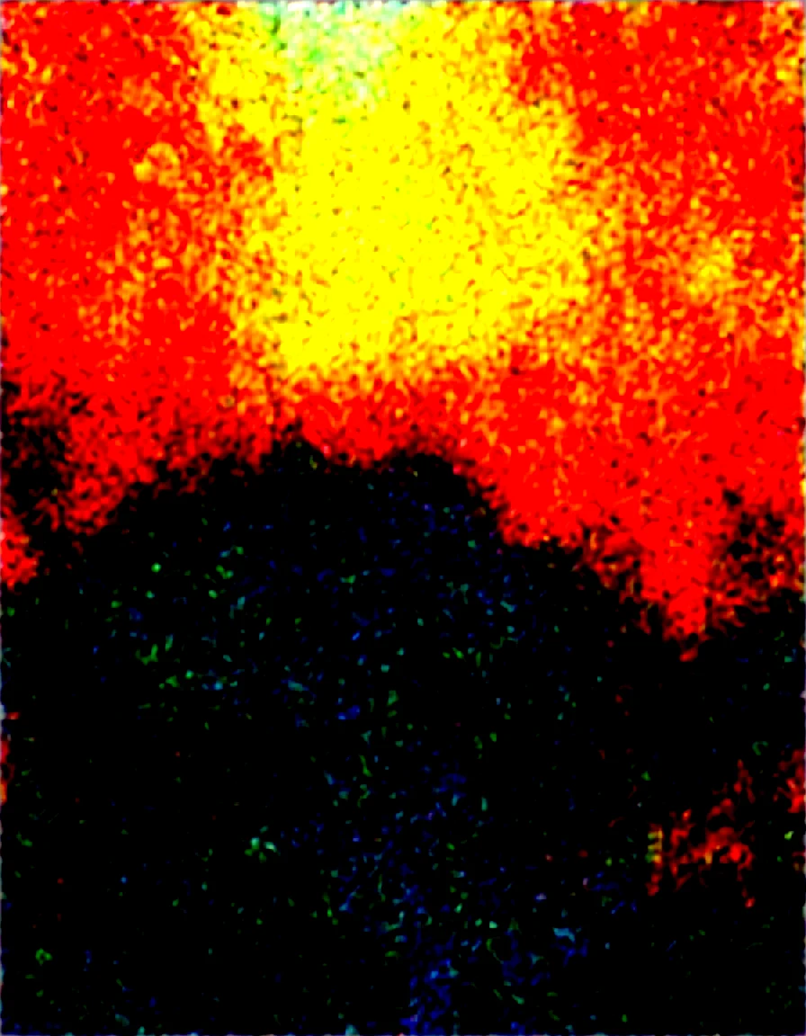 ethereal-fantasy-concept-art-forest-masterpiece-b9193c on WAI-SHUFFLE-NOOB