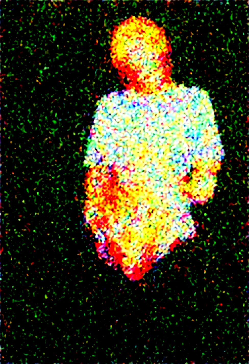 fp100c-1girl-solo-futanari-large-penis-28ef75 on Obsession (Illustrious-XL)