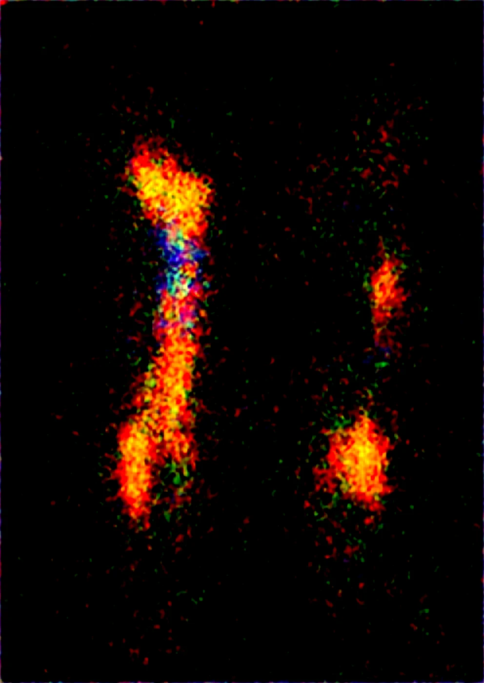 full-body-from-above-dim-lighting-d31a42 on WAI-SHUFFLE-NOOB