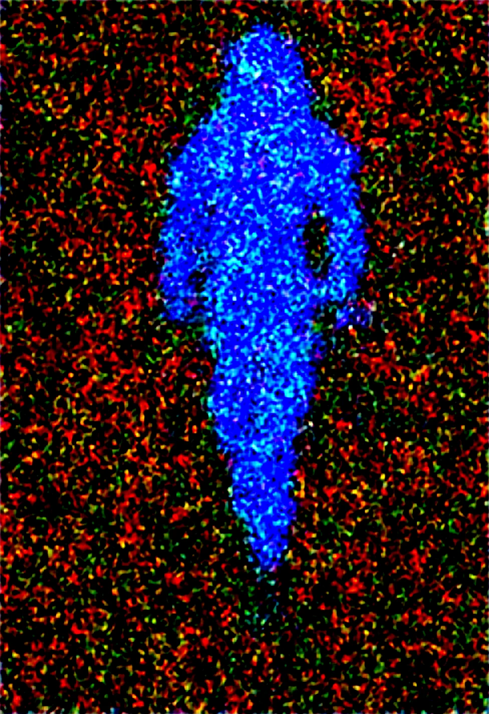 full-body-full-length-portrait-front-5df50b on Obsession (Illustrious-XL)