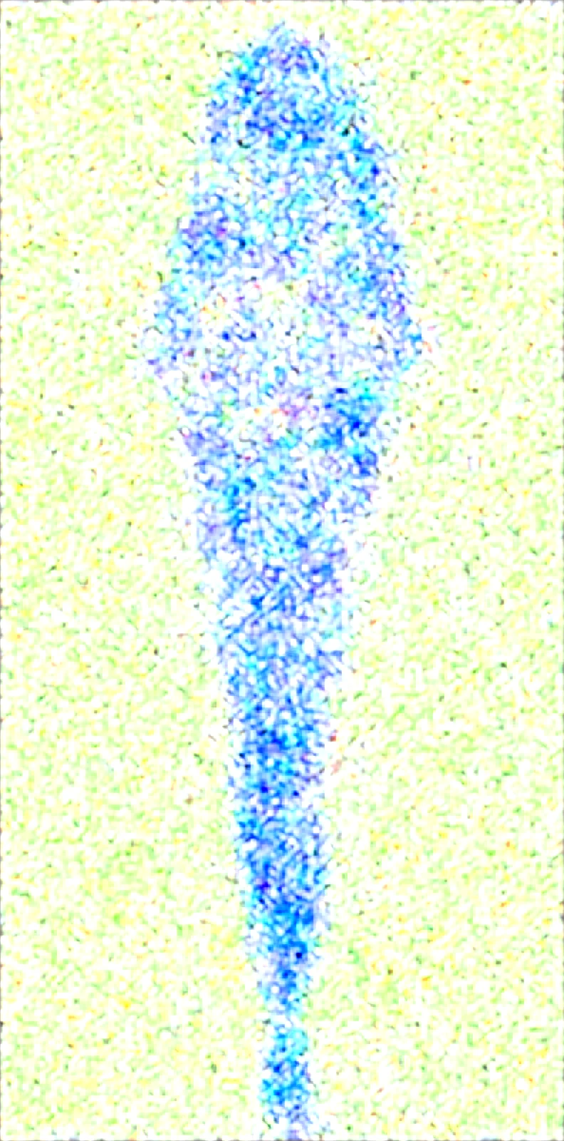 full-body-image-girl-with-two-d977fb on Obsession (Illustrious-XL)