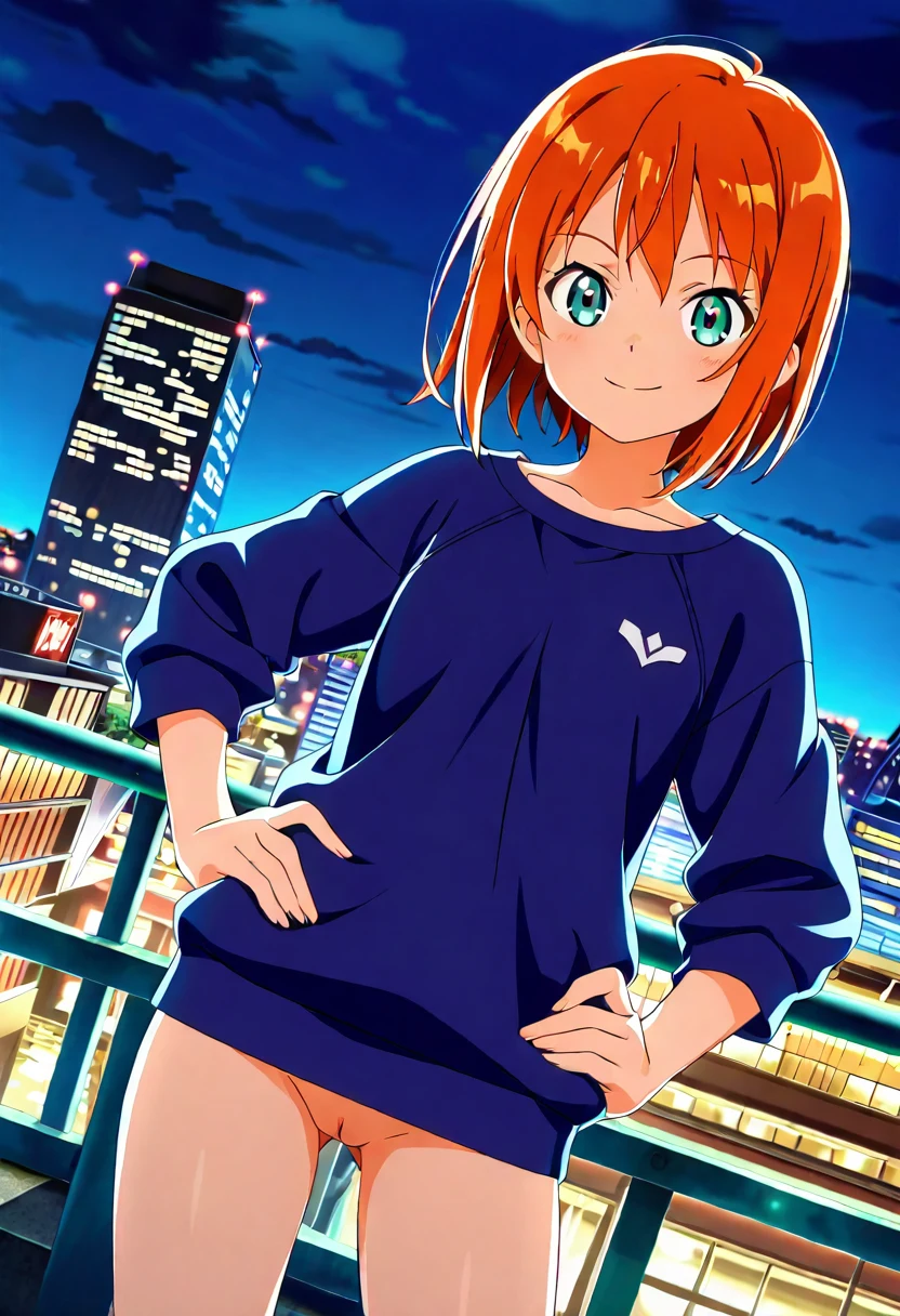 general-highres-ultra-detailed-very-aesthetic-1e19a5 on Cat Tower (NoobAI XL checkpoint)