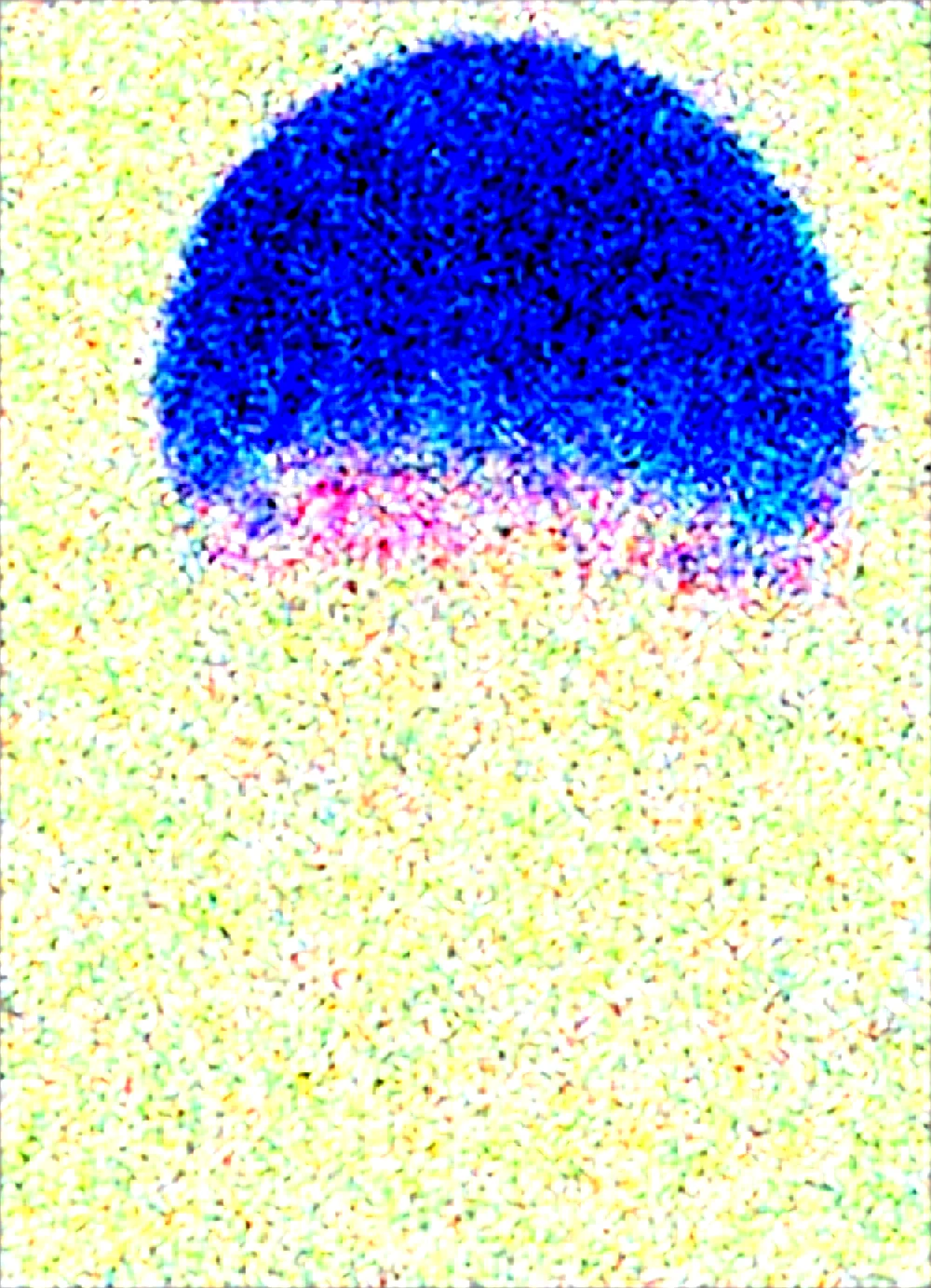 general-sfw-masterpiece-best-quality-amazing-2f2bf7 on Obsession (Illustrious-XL)